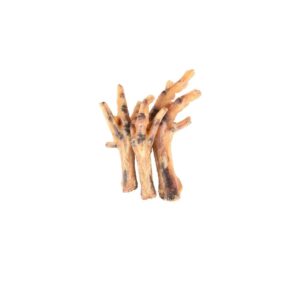 Pattes de poulet pour chien
