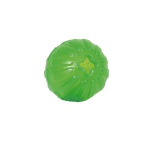 Everlasting Fun Ball - Starmark